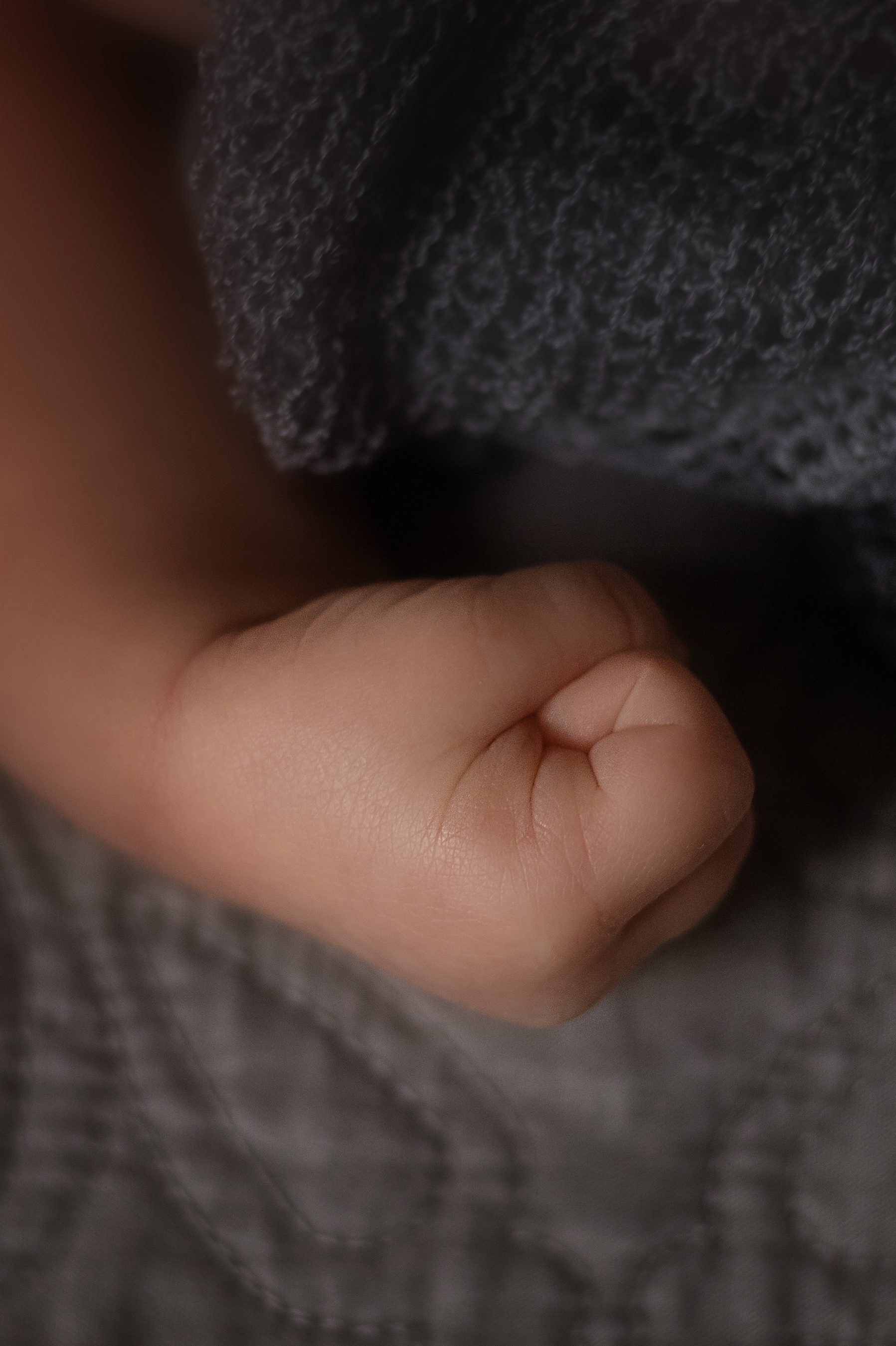 middle georgia newborn photographer. Newborn baby fist. new born photos