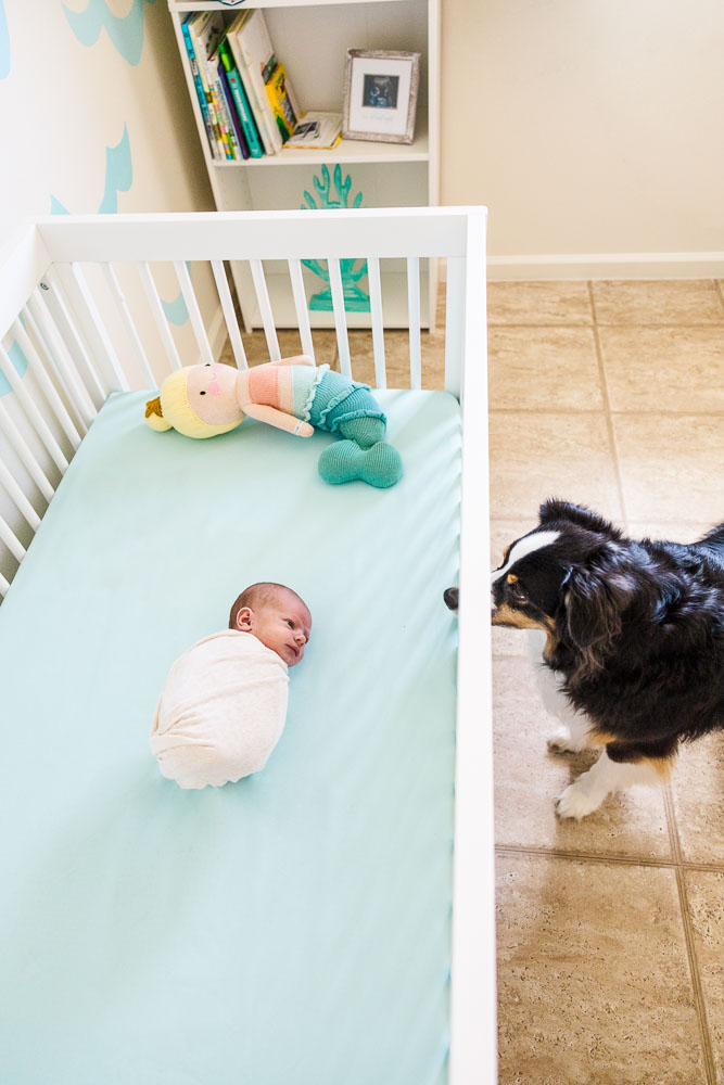 middle georgia newborn photographer. Newborn family lifestyle photo shoot. newborn wrap and dog